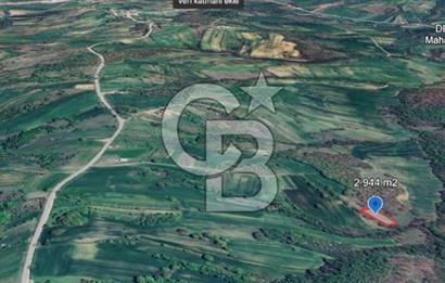 KOCAELİ KÖRFEZ DEREKÖY’DE  SATILIK ARSA | DOĞA İÇİNDE YATIRIM FIRSATI