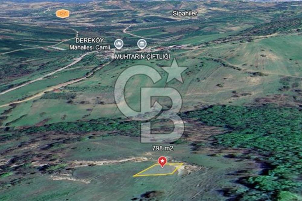 KÖRFEZ DEREKÖY’DE YOLA YAKIN 798 m² SATILIK ARSA | DOĞA İÇİNDE YATIRIM