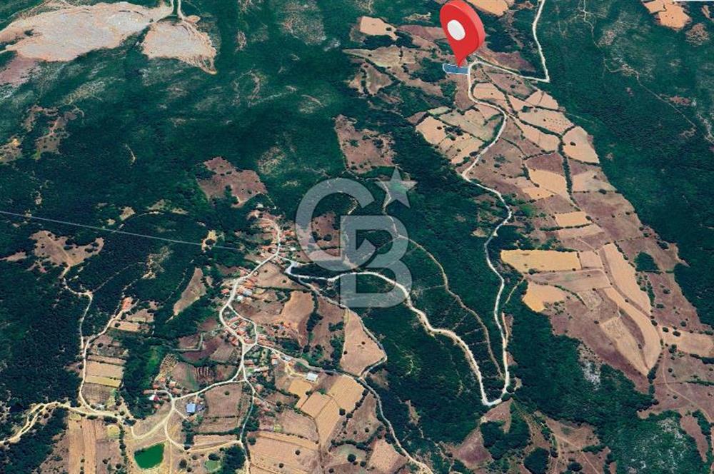 Susurluk İclaliye'de Yatırımlık 3.800 m², Yola Cephe Satılık