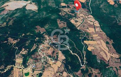 Susurluk İclaliye'de Yatırımlık 3.800 m², Yola Cephe Satılık