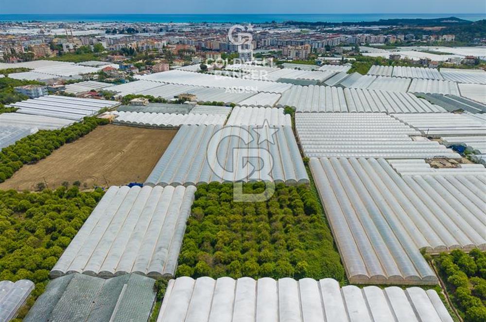 ANTALYA DEMRE KARABUCAK DA CB ARDEN DEN 3.291 m² SATILIK TARLA