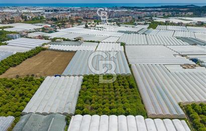 ANTALYA DEMRE KARABUCAK DA CB ARDEN DEN 3.291 m² SATILIK TARLA