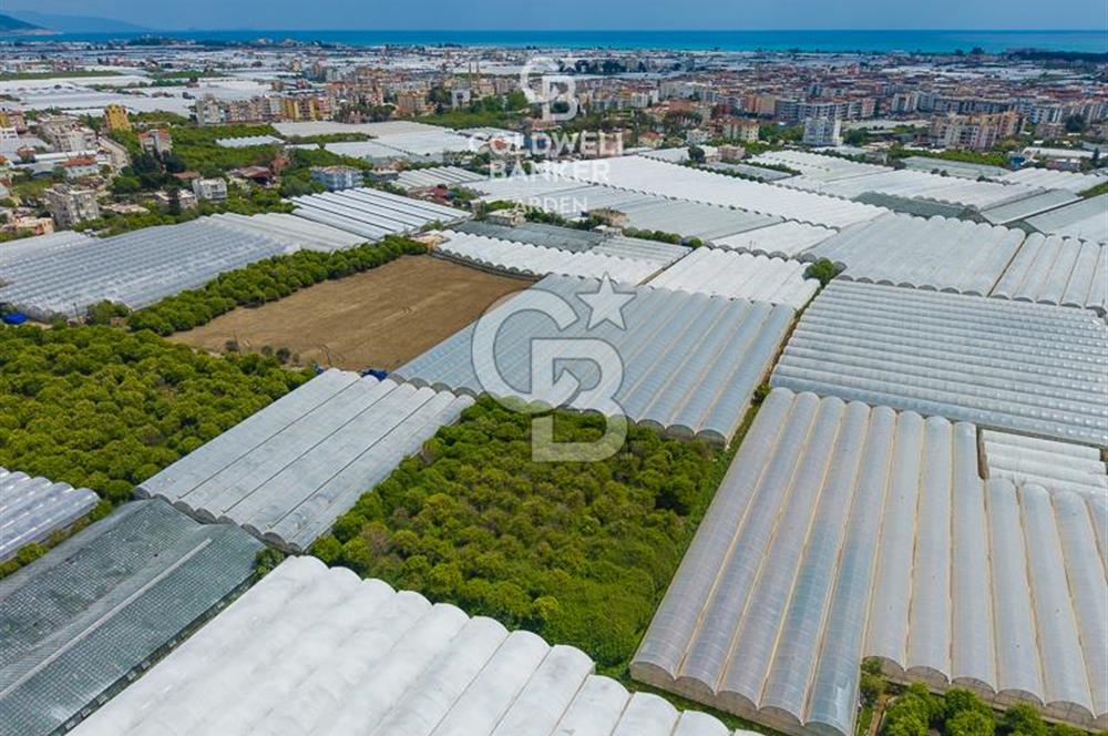ANTALYA DEMRE KARABUCAK DA CB ARDEN DEN 3.291 m² SATILIK TARLA