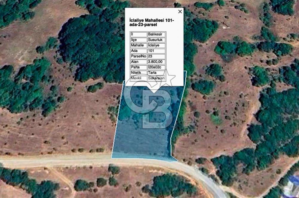 Susurluk İclaliye'de Yatırımlık 3.800 m², Yola Cephe Satılık