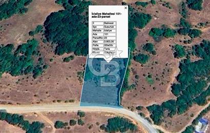 Susurluk İclaliye'de Yatırımlık 3.800 m², Yola Cephe Satılık