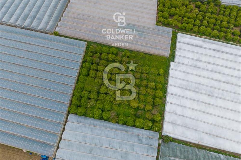 ANTALYA DEMRE KARABUCAK DA CB ARDEN DEN 3.291 m² SATILIK TARLA