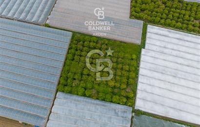 ANTALYA DEMRE KARABUCAK DA CB ARDEN DEN 3.291 m² SATILIK TARLA