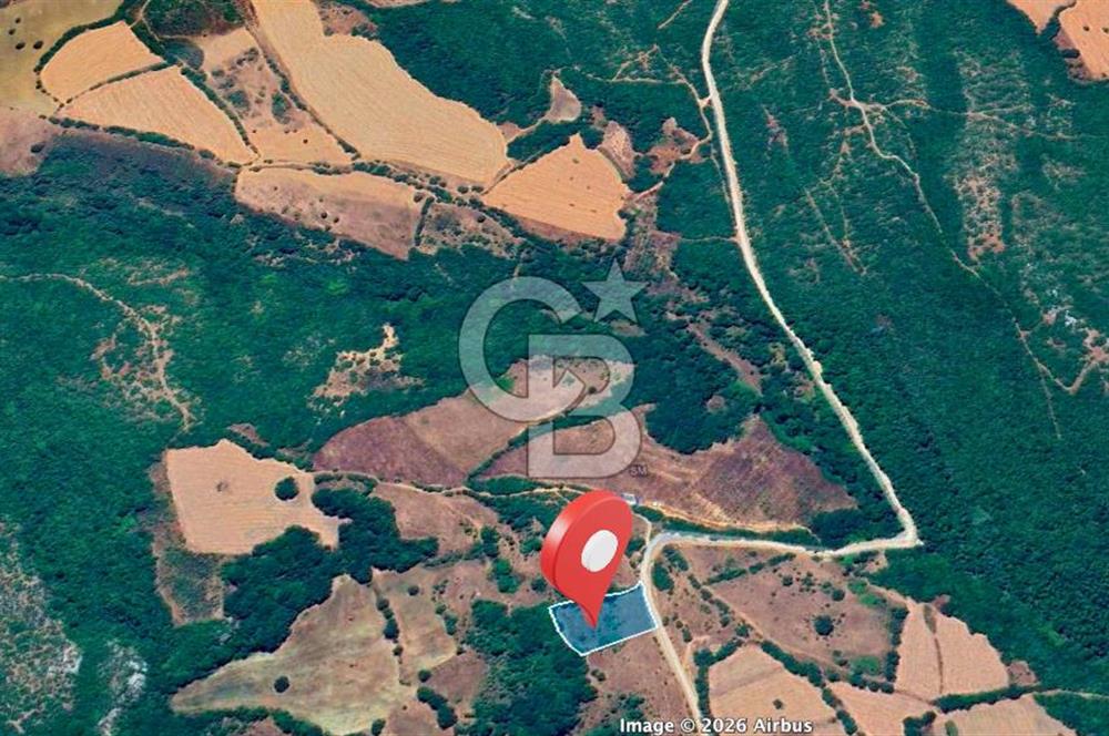 Susurluk İclaliye'de Yatırımlık 3.800 m², Yola Cephe Satılık