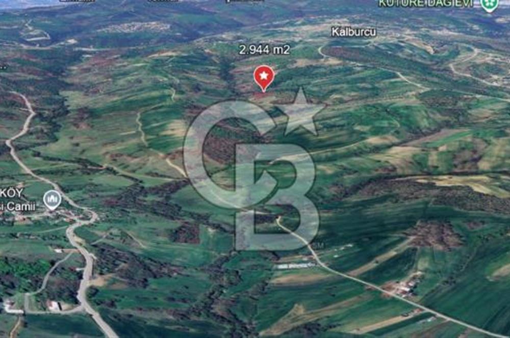 KOCAELİ KÖRFEZ DEREKÖY’DE  SATILIK ARSA | DOĞA İÇİNDE YATIRIM FIRSATI