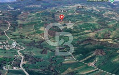 KOCAELİ KÖRFEZ DEREKÖY’DE  SATILIK ARSA | DOĞA İÇİNDE YATIRIM FIRSATI