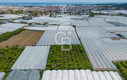 ANTALYA DEMRE KARABUCAK DA CB ARDEN DEN 3.291 m² SATILIK TARLA