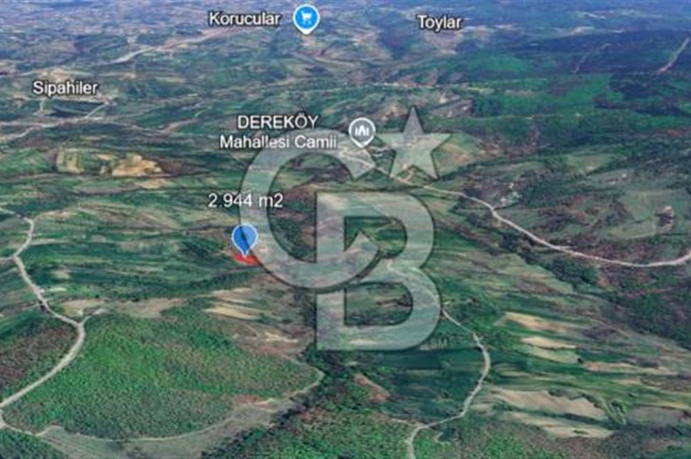 KOCAELİ KÖRFEZ DEREKÖY’DE  SATILIK ARSA | DOĞA İÇİNDE YATIRIM FIRSATI