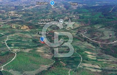 KOCAELİ KÖRFEZ DEREKÖY’DE  SATILIK ARSA | DOĞA İÇİNDE YATIRIM FIRSATI