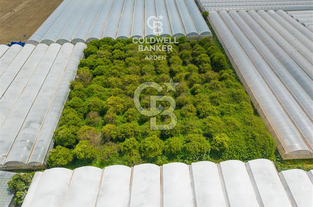 ANTALYA DEMRE KARABUCAK DA CB ARDEN DEN 3.291 m² SATILIK TARLA