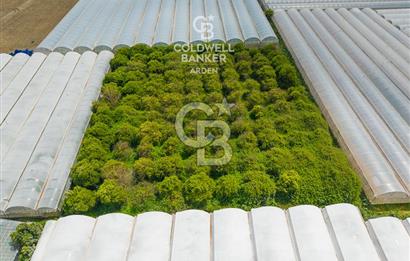 ANTALYA DEMRE KARABUCAK DA CB ARDEN DEN 3.291 m² SATILIK TARLA