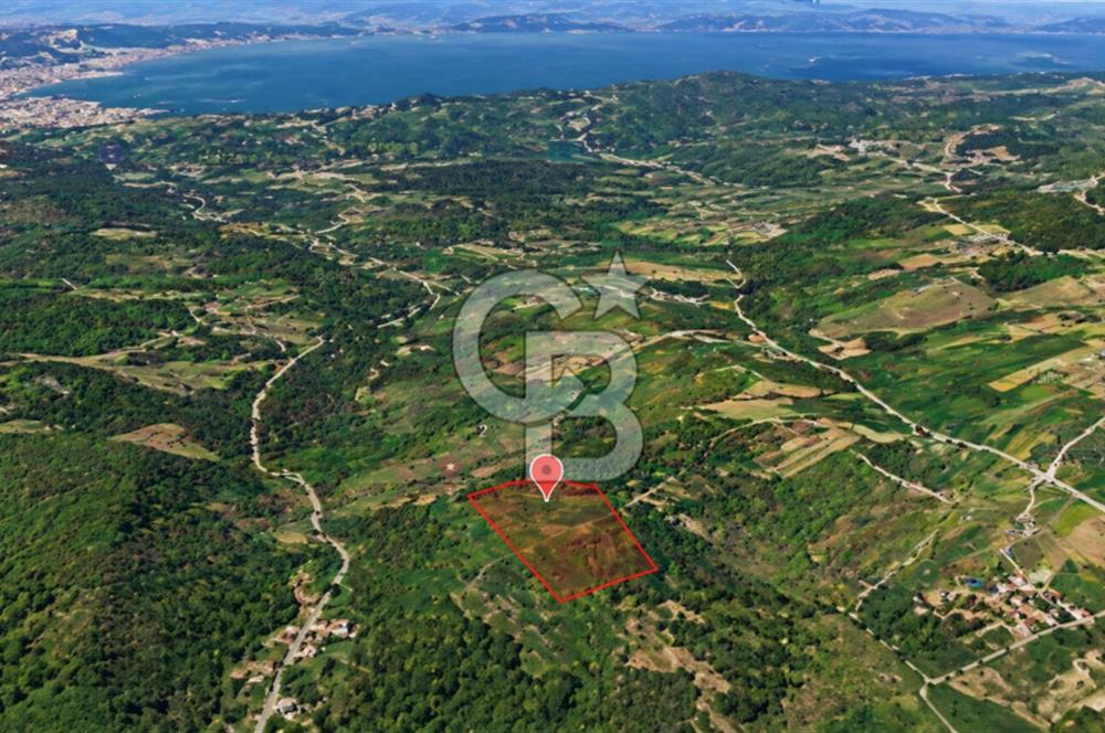 KÖRFEZ DEREKÖY’DE YOLA YAKIN 798 m² SATILIK ARSA | DOĞA İÇİNDE YATIRIM