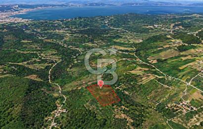 KÖRFEZ DEREKÖY’DE YOLA YAKIN 798 m² SATILIK ARSA | DOĞA İÇİNDE YATIRIM