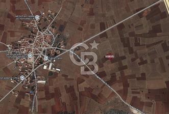 Kütahya Merkez Doğalar Köyünde 2497 m² Tarla - 8 - 345563