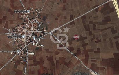 Kütahya Merkez Doğalar Köyünde 2497 m² Tarla