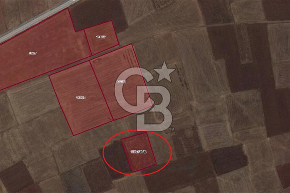 Kütahya Merkez Doğalar Köyünde 2497 m² Tarla