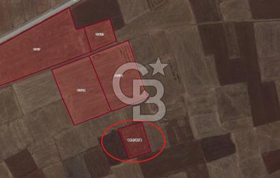 Kütahya Merkez Doğalar Köyünde 2497 m² Tarla