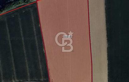 ÇANAKKALE KUMKALE’DE DENİZE YAKIN 10.933 m² YATIRIMLIK TARLA | YOLA CEPHE