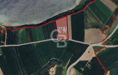 ÇANAKKALE KUMKALE’DE DENİZE YAKIN 10.933 m² YATIRIMLIK TARLA | YOLA CEPHE