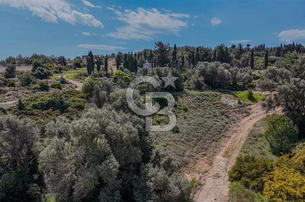 ÇEŞME’NİN İNCİSİ DALYAN’DA SATILIK VİLLA İMARLI ARSA 1
