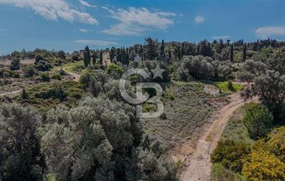 ÇEŞME’NİN İNCİSİ DALYAN’DA SATILIK VİLLA İMARLI ARSA 1