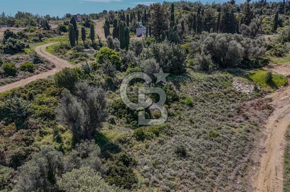 ÇEŞME’NİN İNCİSİ DALYAN’DA SATILIK VİLLA İMARLI ARSA 1