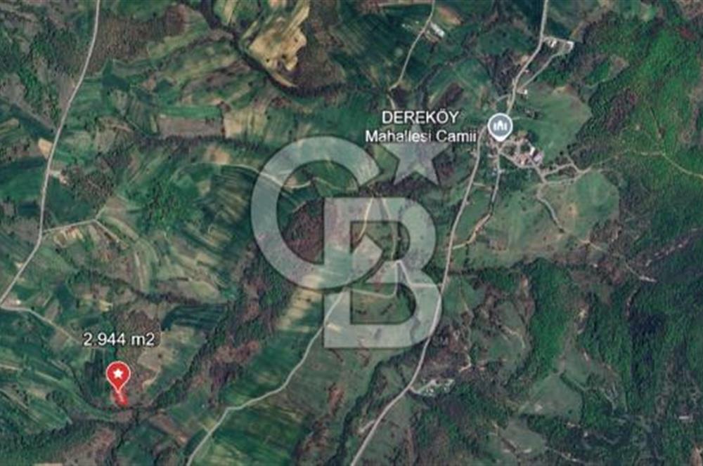 KOCAELİ KÖRFEZ DEREKÖY’DE  SATILIK ARSA | DOĞA İÇİNDE YATIRIM FIRSATI