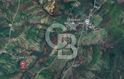 KOCAELİ KÖRFEZ DEREKÖY’DE  SATILIK ARSA | DOĞA İÇİNDE YATIRIM FIRSATI
