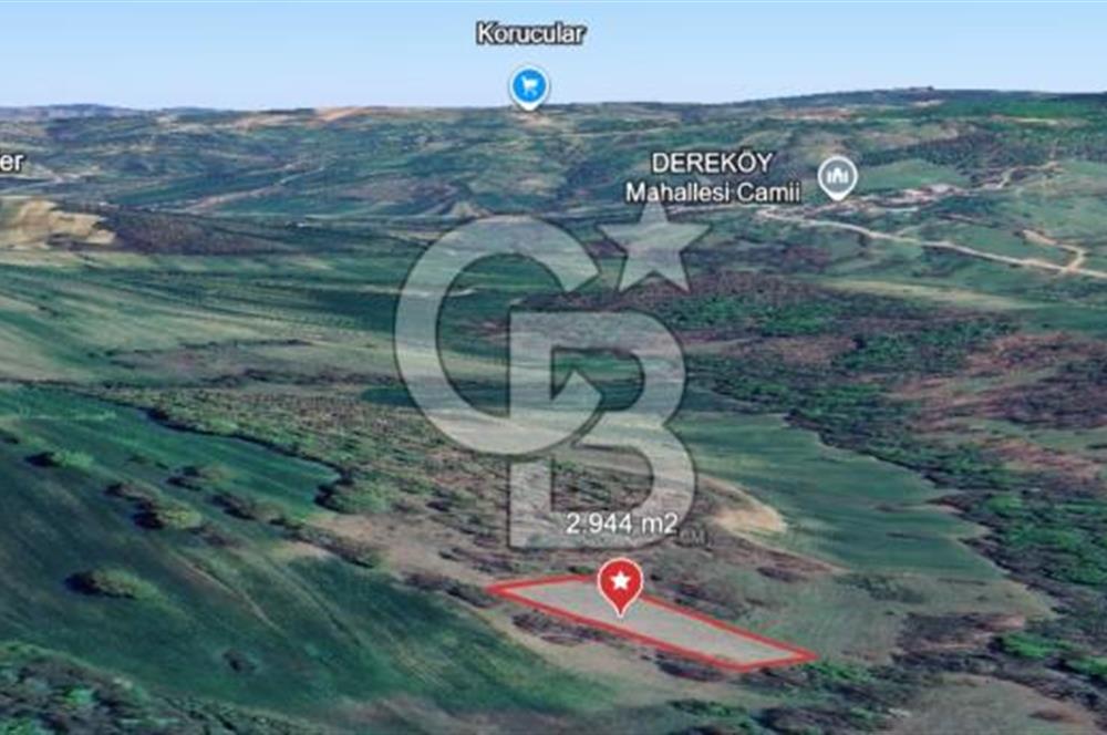 KOCAELİ KÖRFEZ DEREKÖY’DE  SATILIK ARSA | DOĞA İÇİNDE YATIRIM FIRSATI