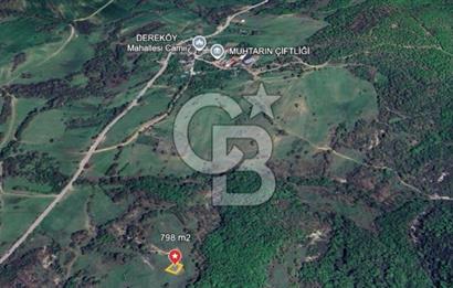 KÖRFEZ DEREKÖY’DE YOLA YAKIN 798 m² SATILIK ARSA | DOĞA İÇİNDE YATIRIM