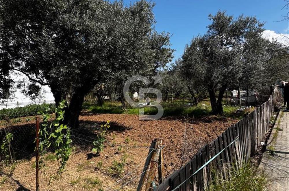 KARAMÜRSEL KONUT İMARLI SATILIK ARSA