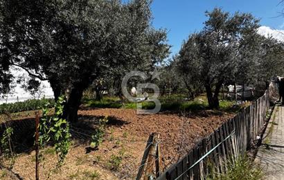 KARAMÜRSEL KONUT İMARLI SATILIK ARSA