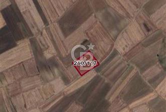 TEKİRDAĞ SARAY BEYAZKÖYDE 1427 M² UYGUN FİYATLI SATILIK TARLA - 10 - 344386