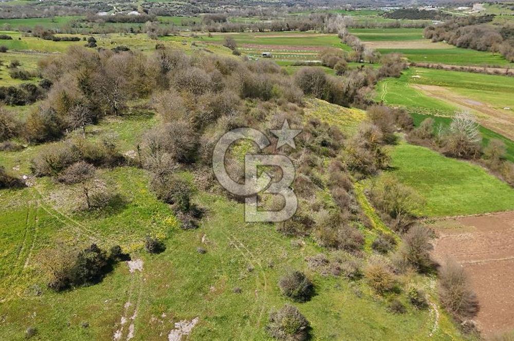 Duraçali de Satılık Müstakil Tapulu, Yola Ve Köye Yakın Parsel