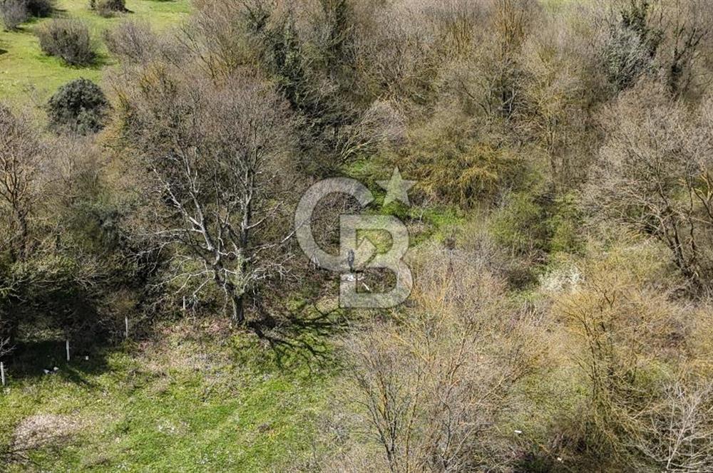 Kandıra Duraçali de Satılık Önü Açık, Köye Yakın Satılık Parsel