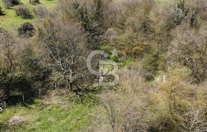 Duraçali de Satılık Müstakil Tapulu, Yola Ve Köye Yakın Parsel