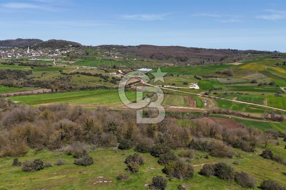 Duraçali de Satılık Müstakil Tapulu, Yola Ve Köye Yakın Parsel