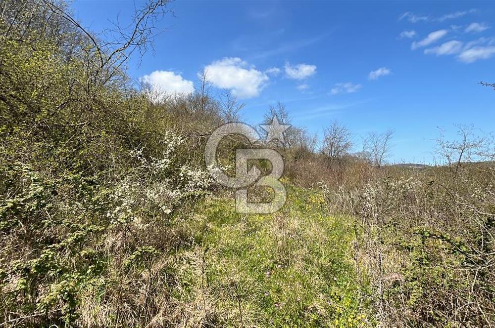 Duraçali de Satılık Müstakil Tapulu, Yola Ve Köye Yakın Parsel