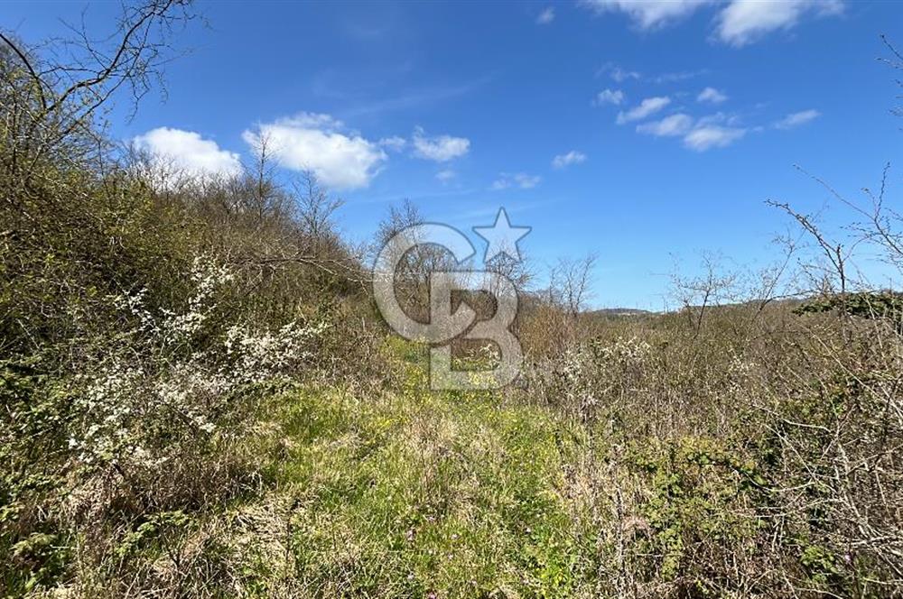 Kandıra Duraçali de Satılık Önü Açık, Köye Yakın Satılık Parsel