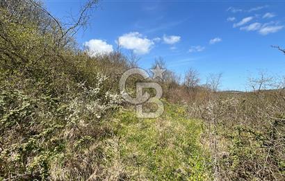 Duraçali de Satılık Müstakil Tapulu, Yola Ve Köye Yakın Parsel