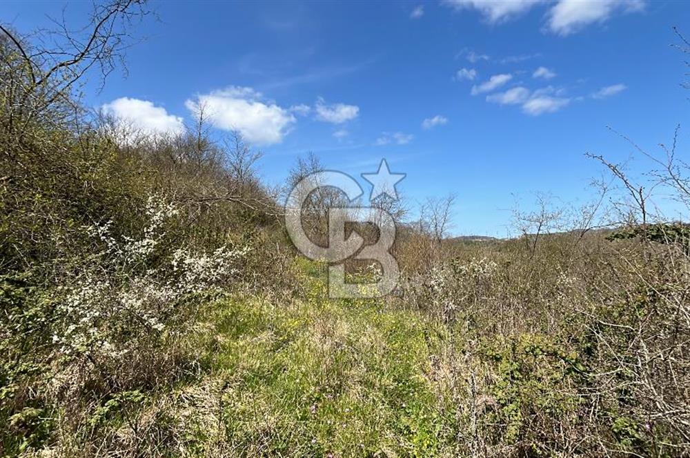 Kandıra Duraçali de Satılık Önü Açık, Köye Yakın Satılık Parsel