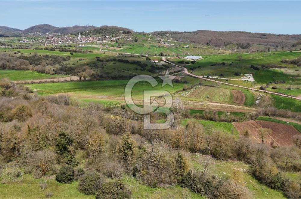 Duraçali de Satılık Müstakil Tapulu, Yola Ve Köye Yakın Parsel