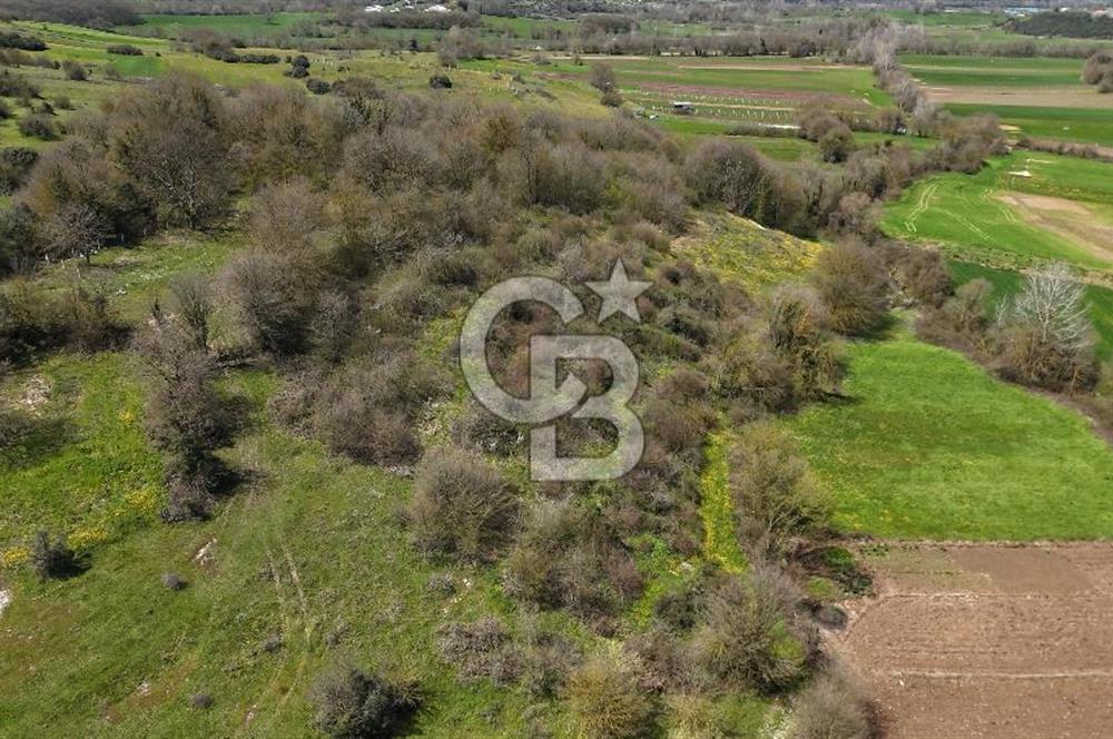 Kandıra Duraçali de Satılık Önü Açık, Köye Yakın Satılık Parsel