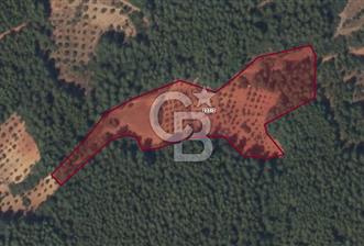 Muğla Ula Kızılağaç ta 14.780 m² yatırımlık Tarla - 5 - 345632