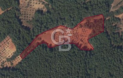 Muğla Ula Kızılağaç ta 14.780 m² yatırımlık Tarla