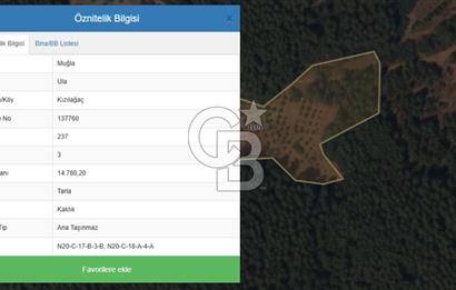 Muğla Ula Kızılağaç ta 14.780 m² yatırımlık Tarla